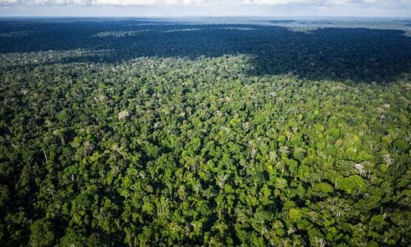 Zona Franca de Manaus tem potencial para impulsionar economia do Brasil