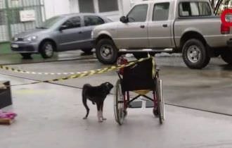Urgente: cadeirante é encontrada morta em posto de gasolina na Ponta Negra e cachorro guarda o corpo