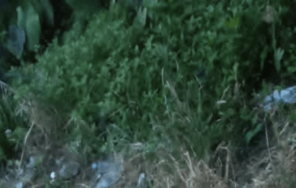 Urgente: jovem é encontrado morto atrás do Mercado Municipal