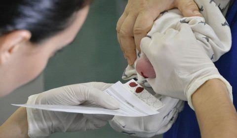 Vai à Câmara projeto que amplia alcance do teste do pezinho