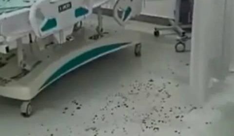 Bandidos invadem hospital e arrancam cabeça de paciente que estava internado; cenas fortíssimas