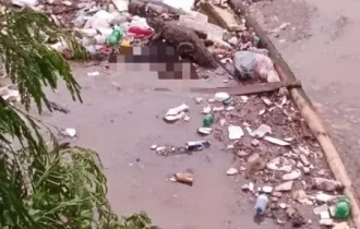 Corpo cercado por três jacarés é retirado da lagoa da Pampulha, em MG