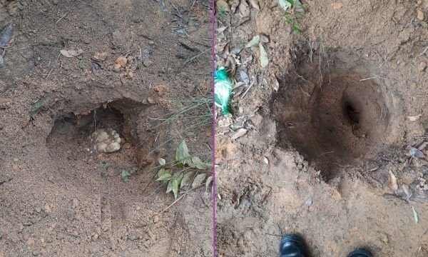 Em Manaus, polícia encontra cova com pessoas enterradas de cabeça para baixo