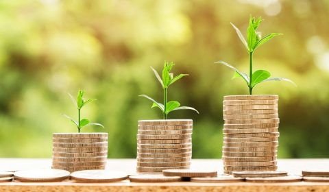 Comissão aprova criação da Zona Franca da Bioeconomia em Belém