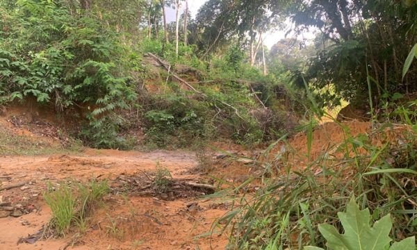 Funcionários de obra em Manaus encontram corpo de homem jogado em ramal