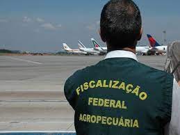 URGENTE: Auditores fiscais federais agropecuários podem parar atividades
