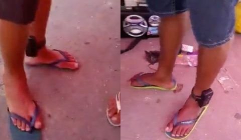 Vídeo da confra dos amigos ‘união do Wi-Fi’ viraliza na internet; veja
