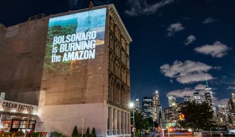 Governo Bolsonaro: três anos de desmonte ambiental