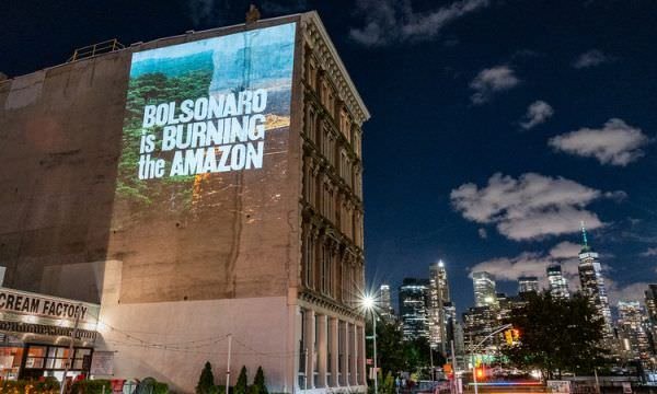 Governo Bolsonaro: três anos de desmonte ambiental