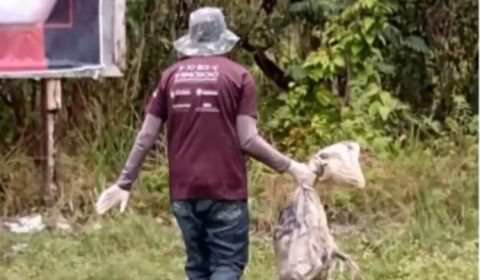 Animais mortos jogados próximo a aeroporto aumentam riscos de acidentes no Amazonas
