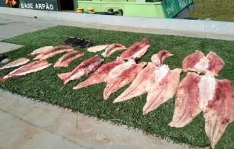 Cerca de 160 quilos de pescado ilegal são apreendidos no Amazonas