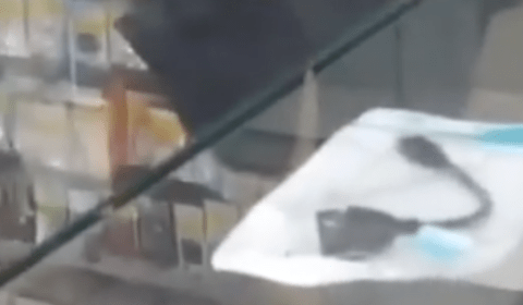 Cliente filma empresária chinesa humilhando funcionária no Centro de Manaus; veja vídeo