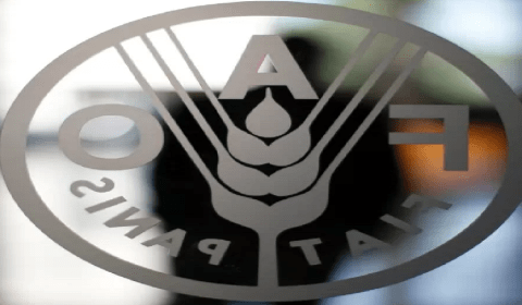 Com dívida inédita, Brasil corre risco de perder direito ao voto na FAO