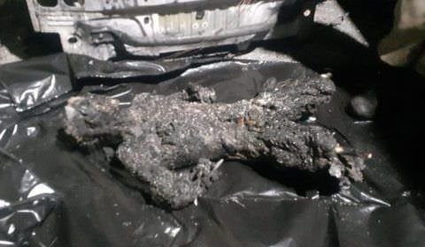 Corpo de homem é encontrado carbonizado