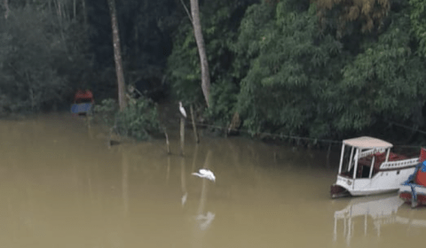 Corpo de homem que estava desaparecido é encontrando boiando no rio; veja vídeo