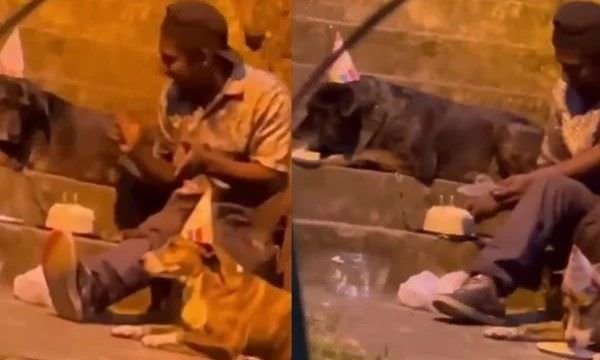 Emocionante: mendigo comemora aniversário com cachorros de rua e faz a internet chorar; veja vídeo