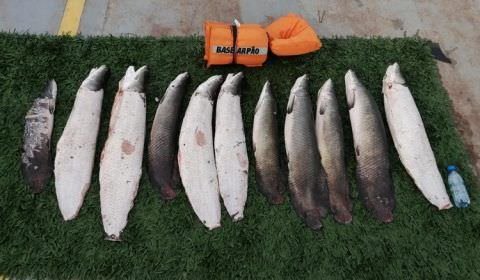 Mais de 50 quilos de pescado ilegal são apreendidos em canoa no Amazonas