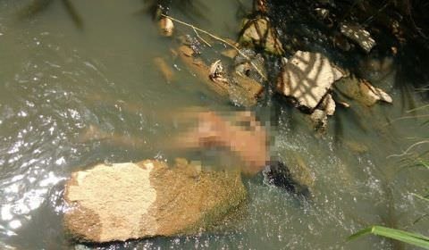 Menina que estava desaparecida é encontrada boiando em rio sem roupas