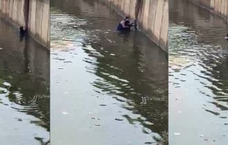 Mulher se arrisca para salvar cachorro que se afogava em 'piscinão'; vídeo