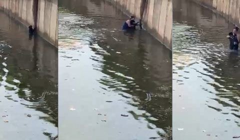 Mulher se arrisca para salvar cachorro que se afogava em 'piscinão'; vídeo
