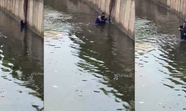 Mulher se arrisca para salvar cachorro que se afogava em 'piscinão'; vídeo