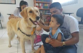 Projeto de lei propõe terapia com cães para crianças e idosos em Manaus