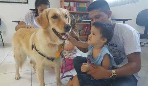Projeto de lei propõe terapia com cães para crianças e idosos em Manaus