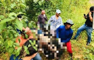 Urgente: corpo em avançado estado de decomposição é encontrado em matagal de Manaus