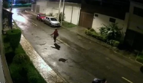 Vídeo: dupla é presa após furtar objetos de veículo na Asa Norte