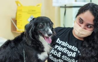 ​CÃES E GATOS - Prefeitura divulga cronograma semanal da campanha antirrábica animal