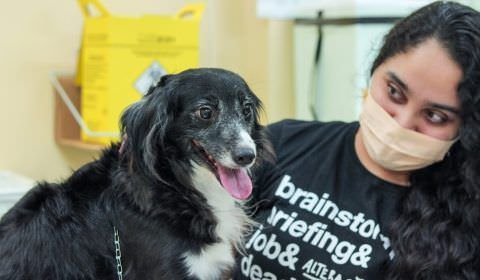 ​CÃES E GATOS - Prefeitura divulga cronograma semanal da campanha antirrábica animal