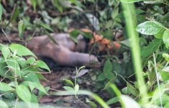 Corpo de homem é encontrado com marcas de agressão física em Manaus