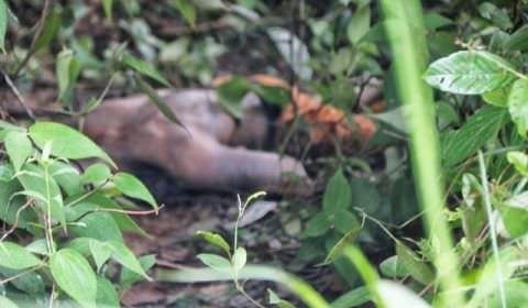 Corpo de homem é encontrado com marcas de agressão física em Manaus