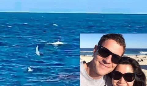 Homem é devorado por tubarão pouco antes de se casar com o ‘amor de sua vida ; veja vídeo