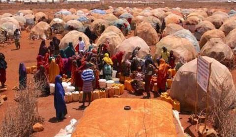 Sudeste africano: 13 milhões de pessoas passam fome por causa da seca