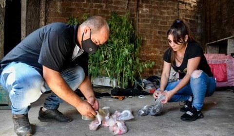 Urgente: 20 pessoas morrem ao usar cocaína ‘batizada’ e 74 são internadas