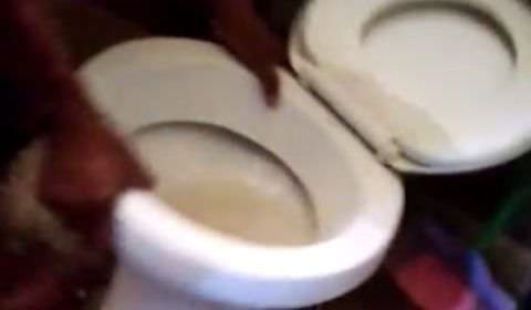 Bomba: família encontra feto dentro de vaso sanitário e mulher é presa; ASSISTA