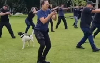 Cão morre após morder bomba durante treinamento de policiais penais