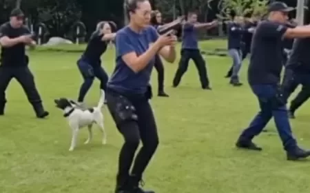 Cão morre após morder bomba durante treinamento de policiais penais