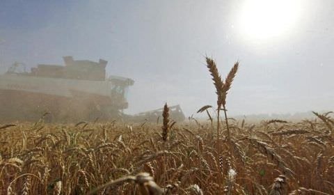 EXCLUSIVO-Bilionário russo da indústria de fertilizantes vê crise alimentar por guerra