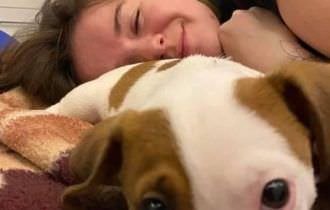 Guerra na Ucrânia: voluntária é fuzilada após levar ração em abrigo para cães