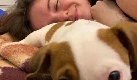 Guerra na Ucrânia: voluntária é fuzilada após levar ração em abrigo para cães
