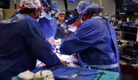 Homem que recebeu transplante de coração de porco morre nos EUA