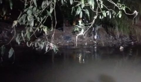 Jacaré tenta comer corpo que foi encontrado em igarapé da Chapada; veja vídeo