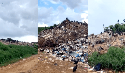 Prefeitura de Tefé na mira do MP por deixar lixão contaminar igarapé