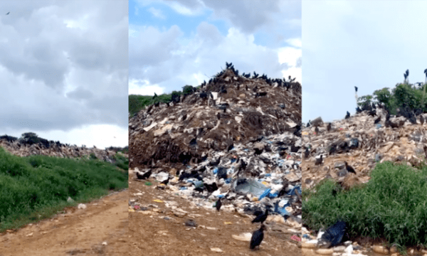 Prefeitura de Tefé na mira do MP por deixar lixão contaminar igarapé