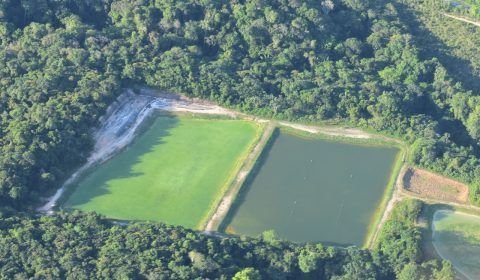 Suframa abre licitação para concessão de 244 terrenos no Distrito Agropecuário