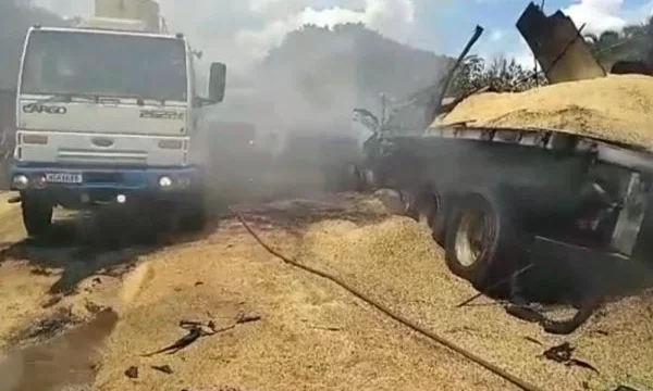 Vídeo: carretas batem de frente e pegam fogo