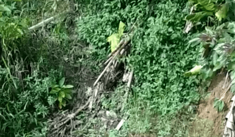 Vídeo: Homem é espancado pelo tribunal do crime após abusar de criança no Mauazinho