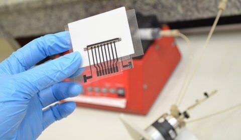Alzheimer: identificados 42 genes para conhecer melhor a doença